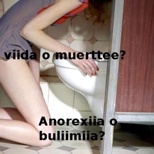 Indice del informe Anorexia y Bulimia